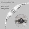 Titan Lagan Black Dial Analog Day & Date Metal Strap Watch for Women 3
